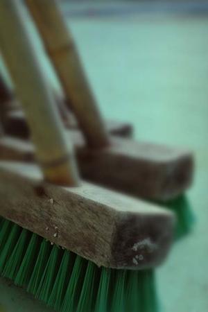 営農型太陽光発電で売電と農業を両立