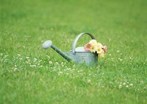 可愛らしいアニマル雑貨がそろっている