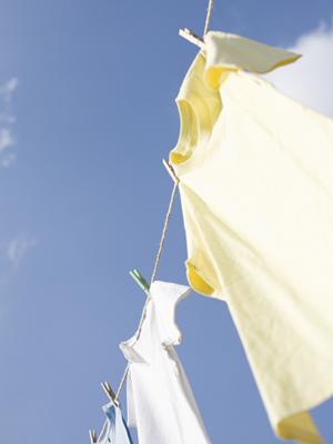 プロの運転手が提供する安全・快適な移動サービスを徹底解説！