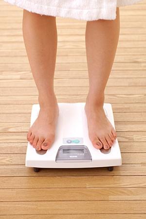 アニマルマグカップが買える通販サイト