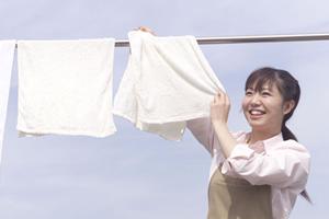 コルクのスライス加工技術を徹底解説！品質向上とコスト削減のための選定ポイント