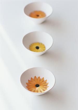 水回りのトラブルにいつでも対応してくれる水道屋さん