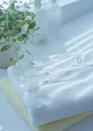 広島のネズミ駆除完全ガイド：効果的な対策と費用を抑える方法